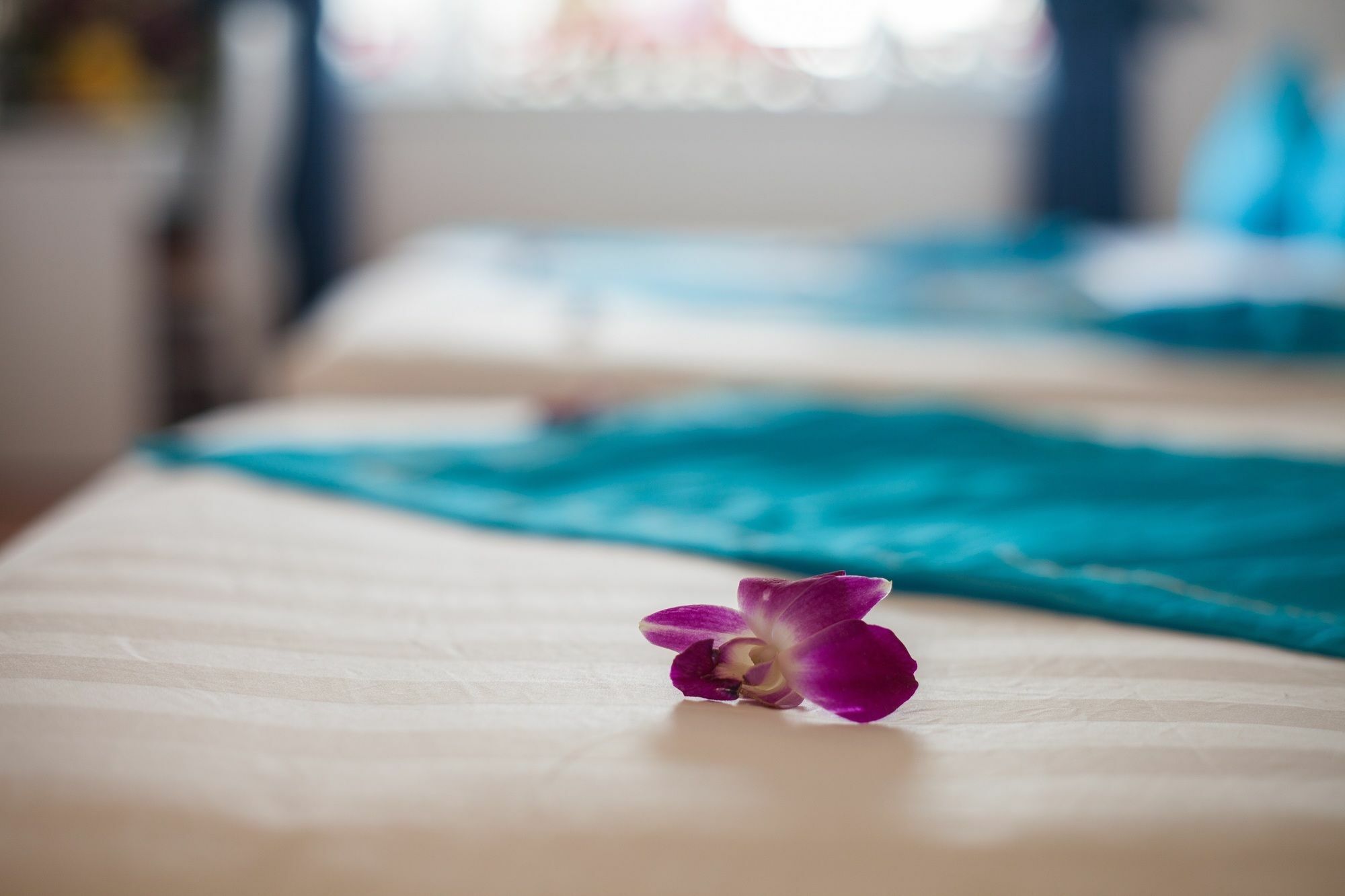 Hanoi Buddy Inn & Travel Экстерьер фото